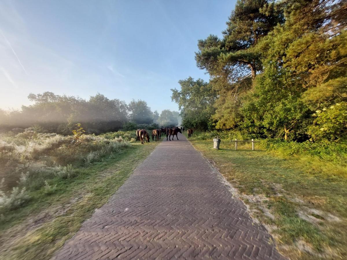Zomerhuis Simoons Egmond aan Zee Exterior foto